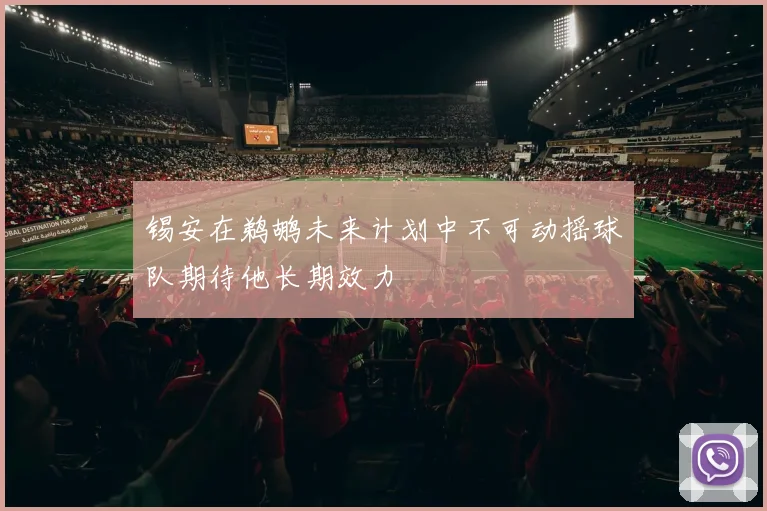 锡安在鹈鹕未来计划中不可动摇球队期待他长期效力